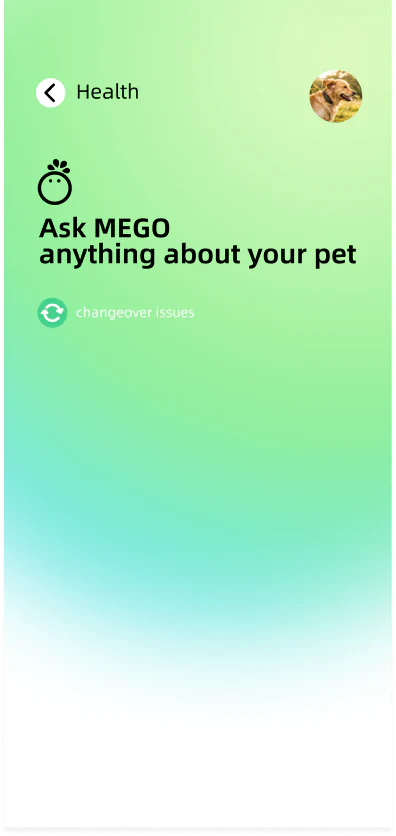 MEGO AI chat interface on smartphone
