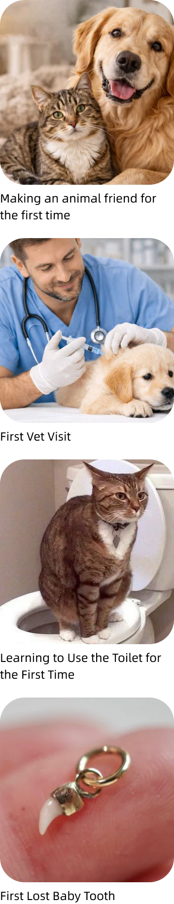 MEGO Community pet diary feed 1